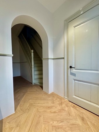 IMG_1251 2 Medium.jpeg